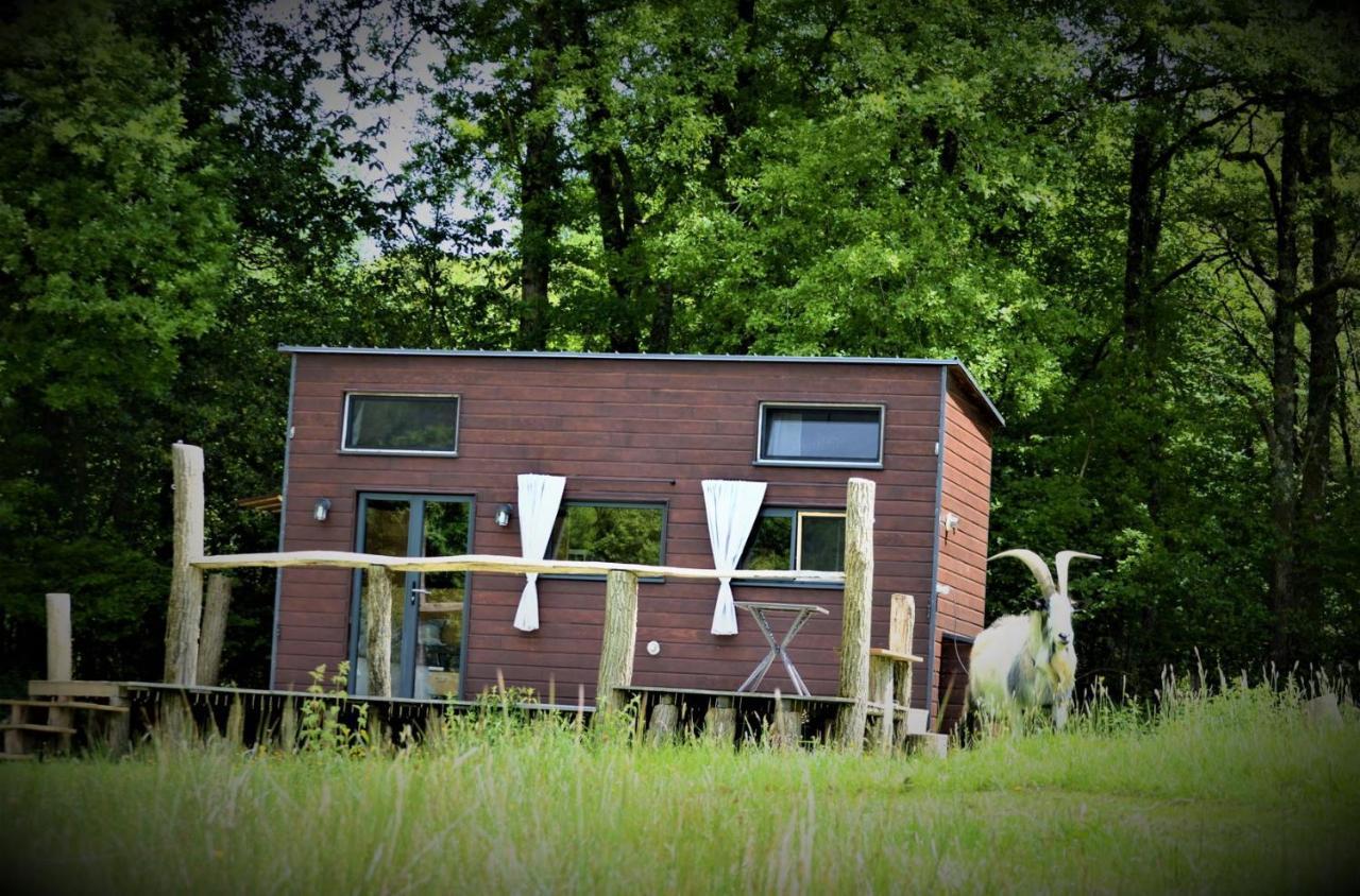 La Tiny House Terra Nostra Apartment Saint-Bazile ภายนอก รูปภาพ